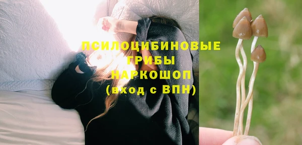 молекула духа Верея