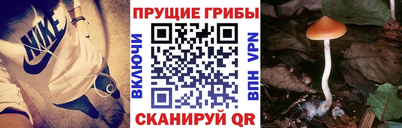 Псилоцибиновые грибы GOLDEN TEACHER  mega ONION  Янаул 
